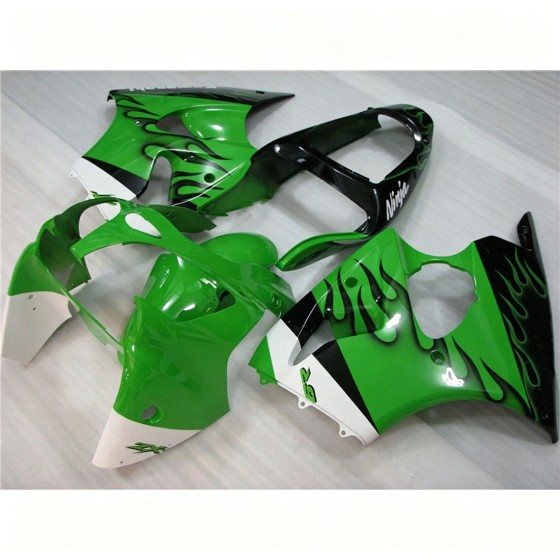 Kawasaki Ninja ZX6R Flame Motorcycle Fairings (2000-2002)