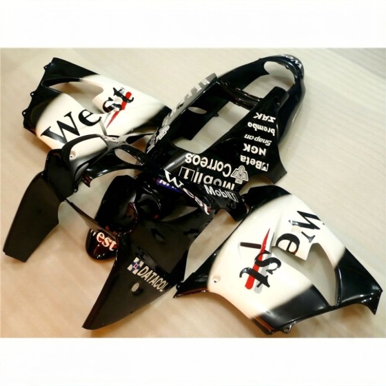 Kawasaki Ninja ZX9R Black & White Motorcycle fairings(2000-2001)