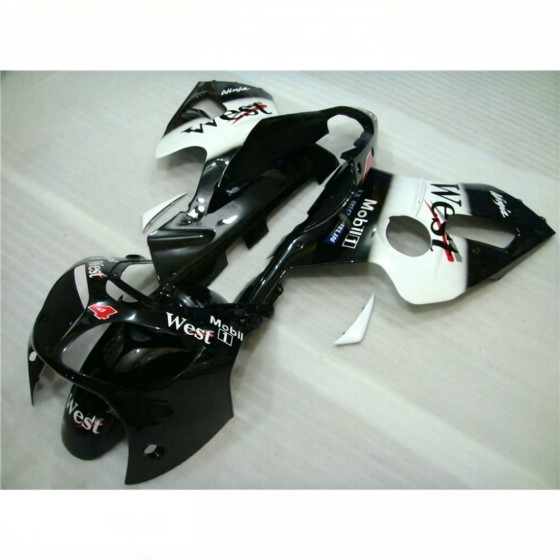 Kawasaki Ninja ZX12R Black & White Motorcycle fairings(2002-2004)